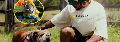 Льюїс Гамільтон повідомив про смерть свого бульдога Роско