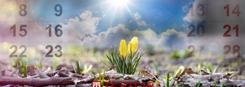 В Украину придет потепление, но оно будет недолгим: синоптик огорчила прогнозом