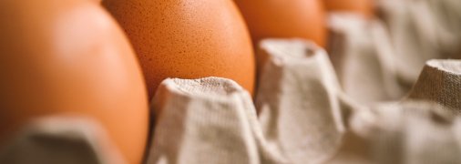 Иллюстративное изображение