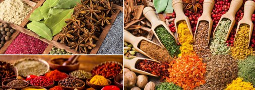 Специи обладают массой полезных свойств