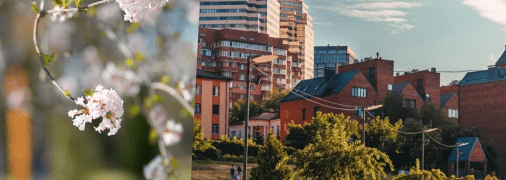 Погода в Днепре