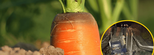 Автомобільний міст в Криму зруйнувала морква: як так сталося (фото)