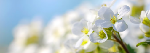 Яке церковне свято 20 березня 2025 - День пам'яті мучениці Фотіни Самарянині