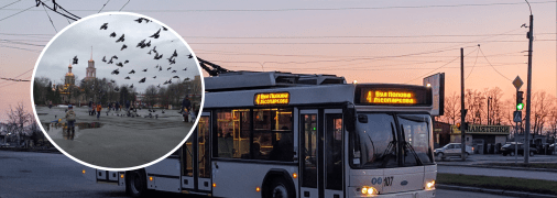 Славянск и троллейбус