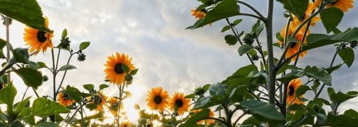 Какие завтра праздники: традиции и приметы на 11 июля