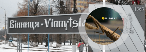 Богомол у Вінниці