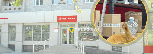 Рыжий кот на Новой почте