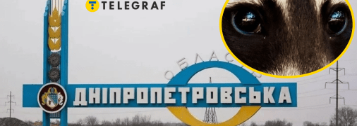 Колаж "Телеграфу"