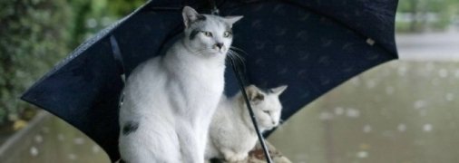 Погода в Украине 5 сентября