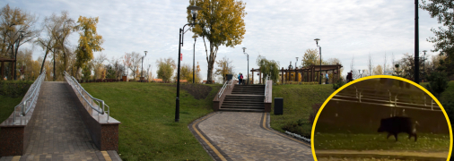 Парк Наталка в Киеве