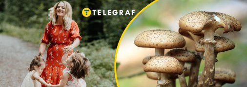 Що тепер із сім'єю, де діти померли від отруєння грибів