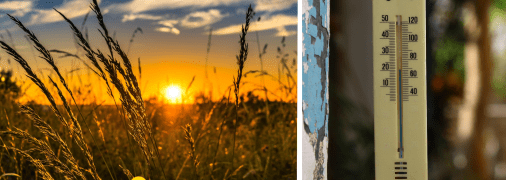 У середині квітня в Україні прогнозують спеку