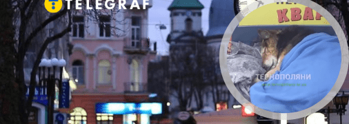 Колаж "Телеграфу"