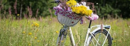 Какие завтра праздники: традиции и приметы на 8 июля