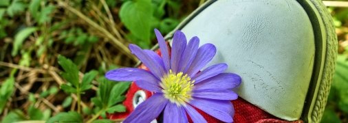 Чистая обувь легко впитывает запахи естественных ароматизаторов