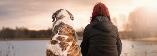 Главное в тренировках с собакой — проявлять любовь и понимание