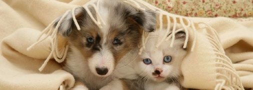 Рятуємося від лютих холодів