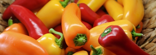 Как правильно удобрять перец в середине лета - советы