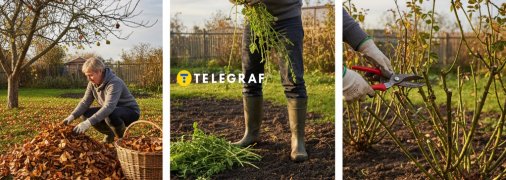 В осінньому саду є багато роботи