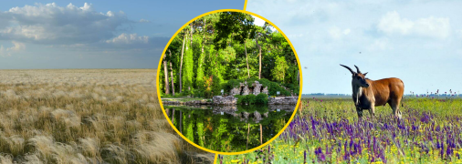 "Аскания-Нова" не уничтожена? В заповеднике ответили на слова Прокудина и объяснили ситуацию