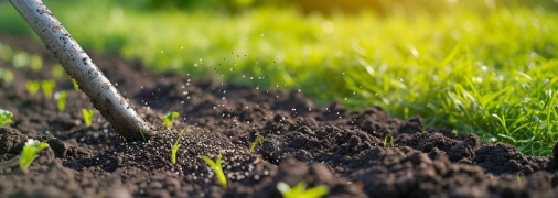 Газон потребує правильного догляду (зображення створено за допомогою ШІ)