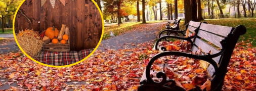 Осень в столице