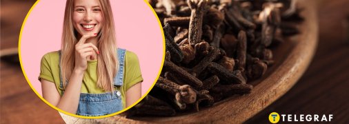 Девушка, гвоздика