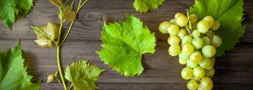 В Іспанії опівночі з'їдають 12 виноградин