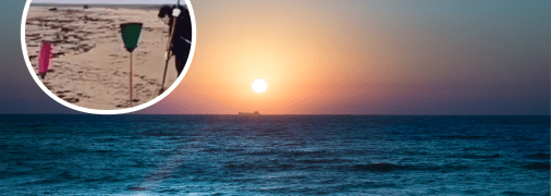 У Криму виявили викид мазуту: дельфіни гинуть десятками (відео)