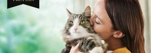 Nestle Purina представляє Pro Plan LiveClear, перший у світі корм, що зменшує рівень алергенів у котів