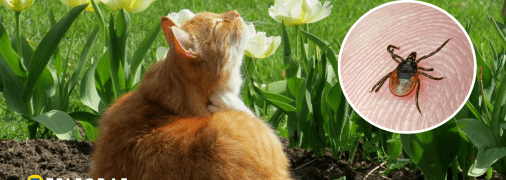 Членистоногі небезпечні для тварин