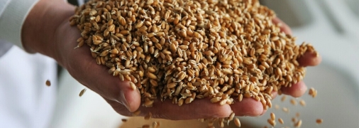 В Украине решение назвали "полумерой"