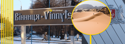 Комаха у Вінниці