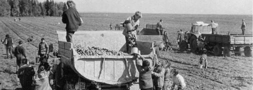 Непідготовлені діти та юнаки часто хворіли після такого