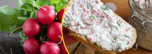 Закуска з редиски з крем-сиром та цибулею
