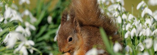 Прогноз погоды в Украине