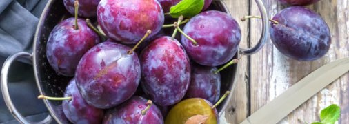 Заготовки из слив: гид по лучшим рецептам