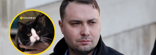 Кот Гюнтер - один из домашних любимцев Кирилла Буданова