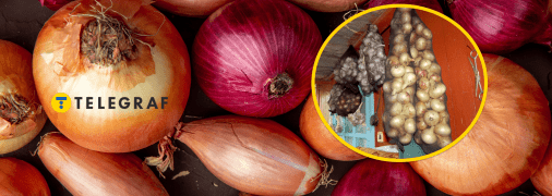 Цибуля потрібна для приготування багатьох страв