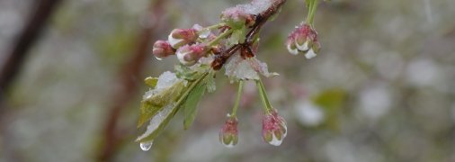 Прогноз погоды на 20 апреля