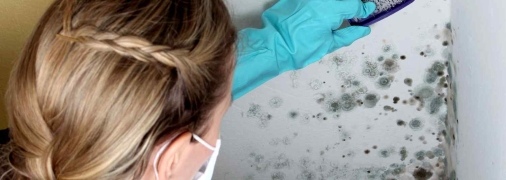 Цвілі в будинку не місце