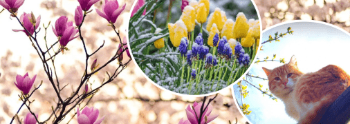 Погода в квітні в Україні