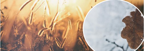 Заморозки в Украине