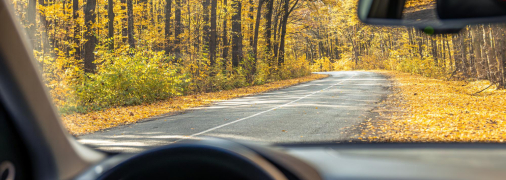 День автомобилиста в Украине