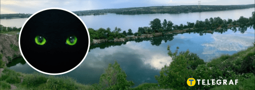 На Дніпропетровщині побачили небезпечного хижака