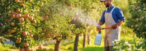 Різні шкідники потребують різних підходів