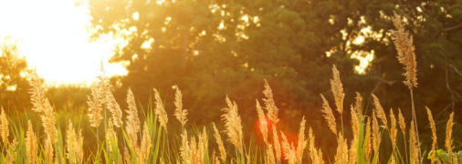 Друга половина літа в Україні буде спекотною