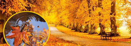 Ожидаются первые заморозки