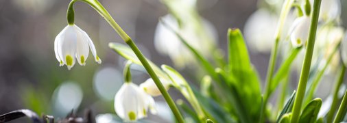 Что нужно сделать в День весеннего равноденствия