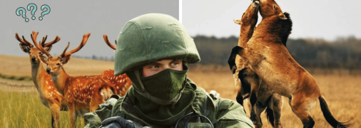 Коллаж "Телеграфа"